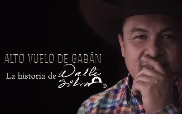 Alto vuelo de gaban - Walter Silva