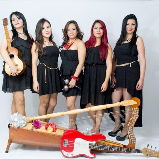 Cinco Damas 2020